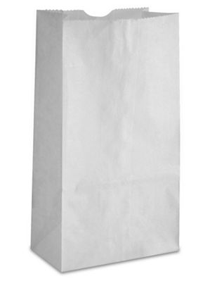 White Grocery Bag - 4 lbs