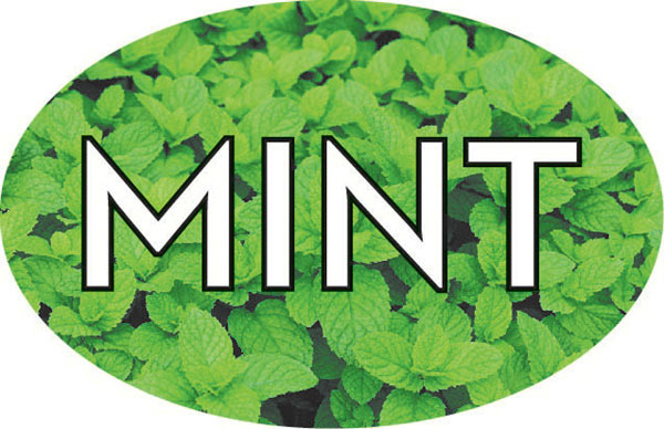Mint Oval Label 13551 500/roll