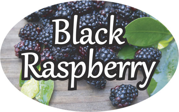Black Raspberry Oval Label 13610 500/roll