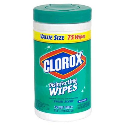 Clorox® Disinfecting Wipes - Fresh Scent, 6/Case